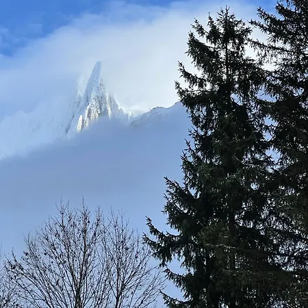 Atmosphere Center Large T3 Appartement