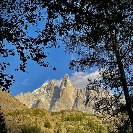 Atmosphere Center Large T3 Appartamento