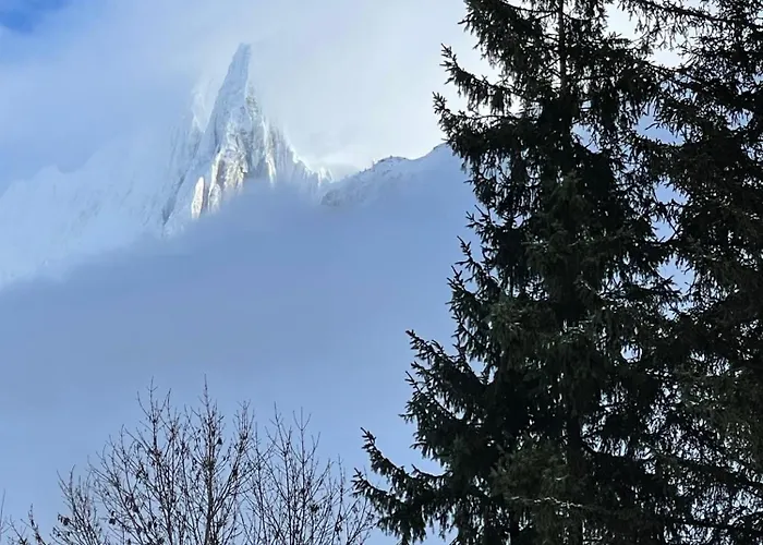 Atmosphere Center Large T3 Apartment