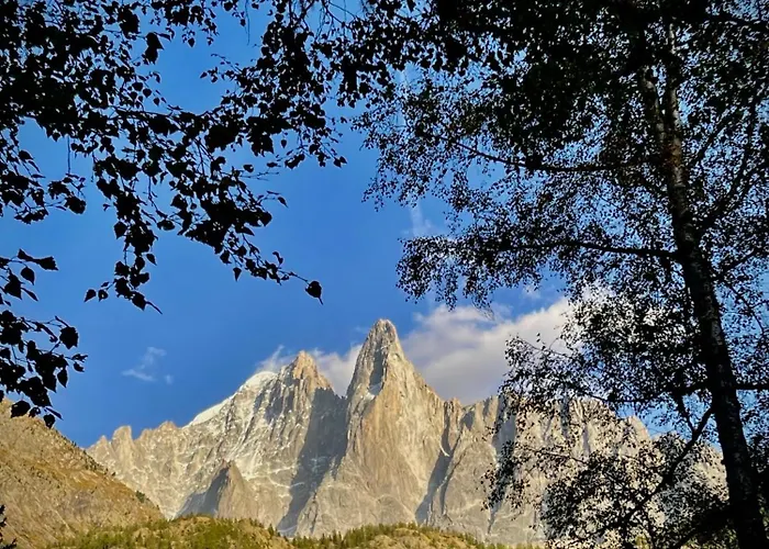 Atmosphere Center Large T3 Appartement